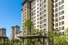 ���ݰ�ȫ�|(zh��)���z�y�b��