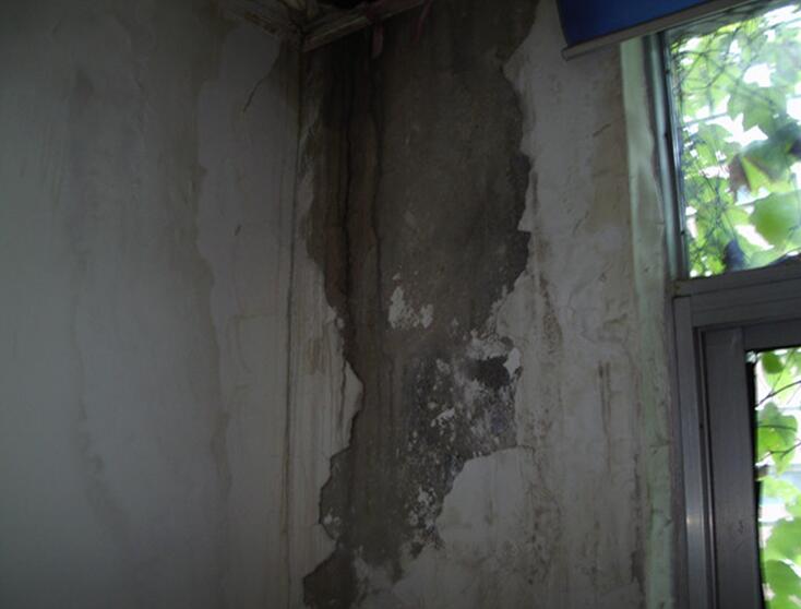 Σ���z�y(c��)�b��